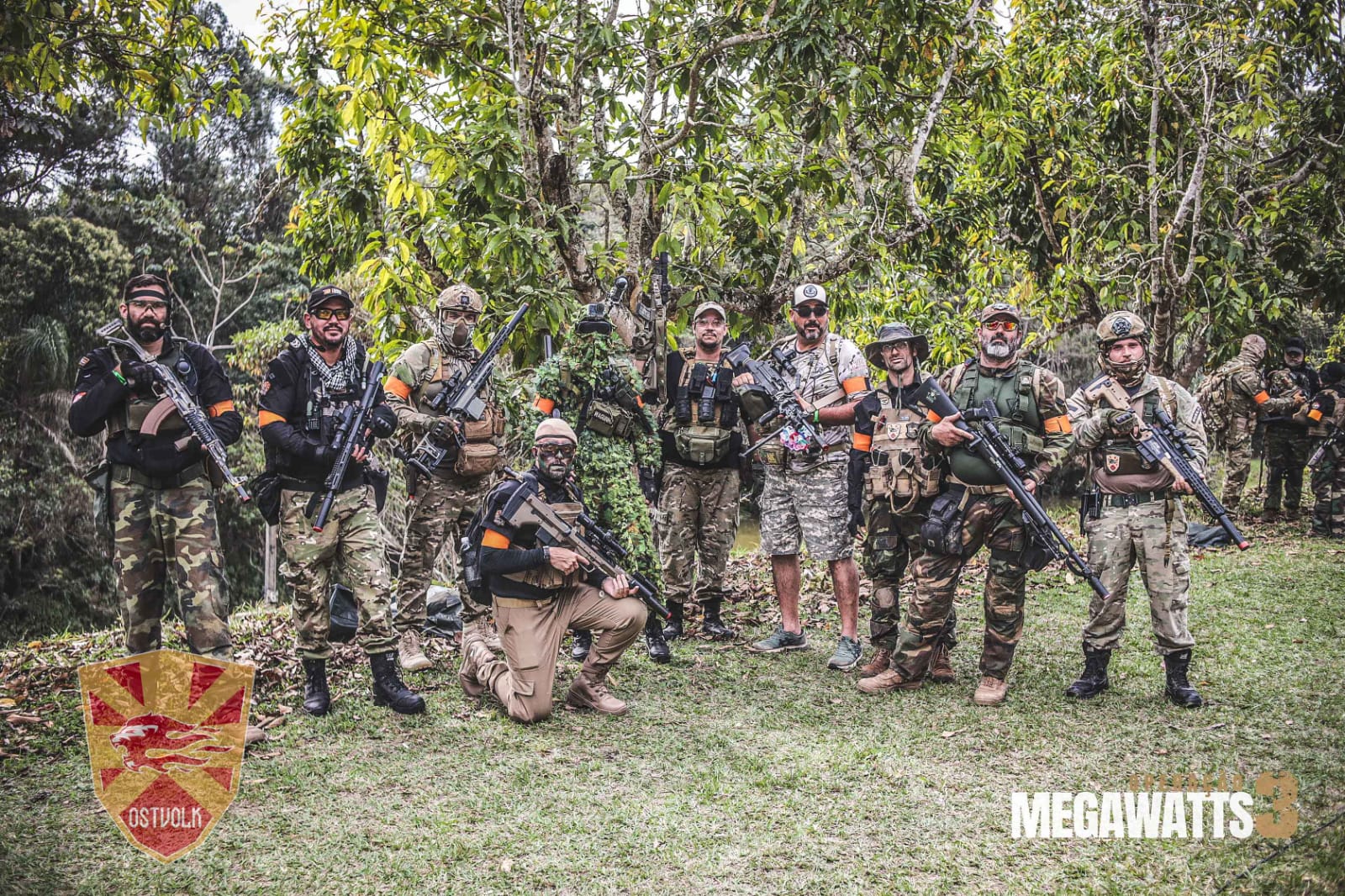 Família Airsoft